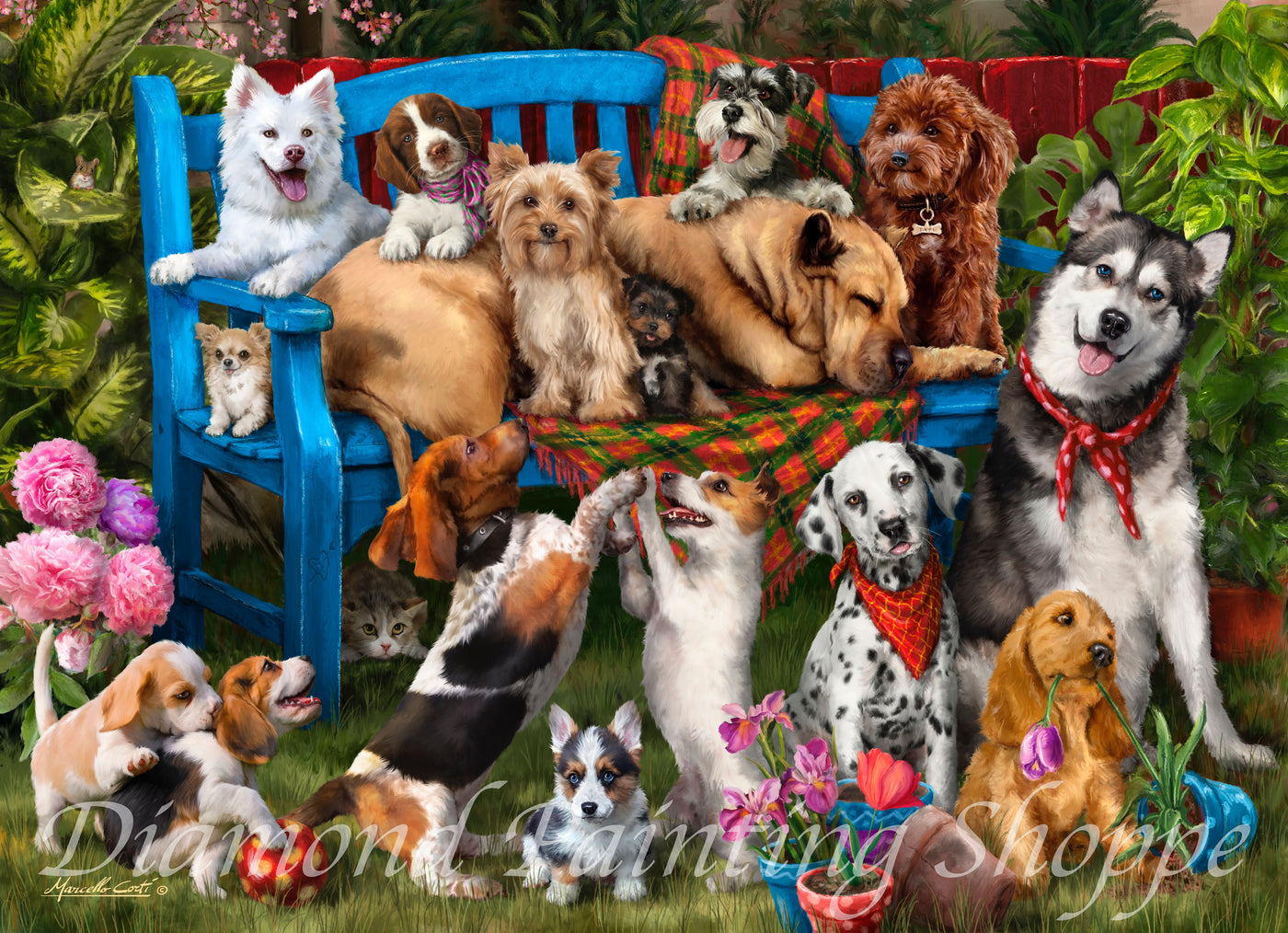 Dogs on a Bench (MTO)