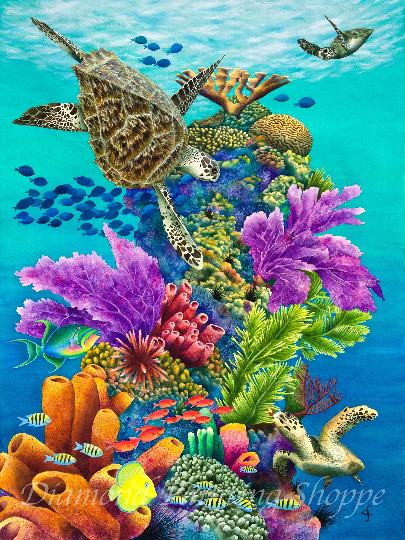 Sea Summit (MTO)