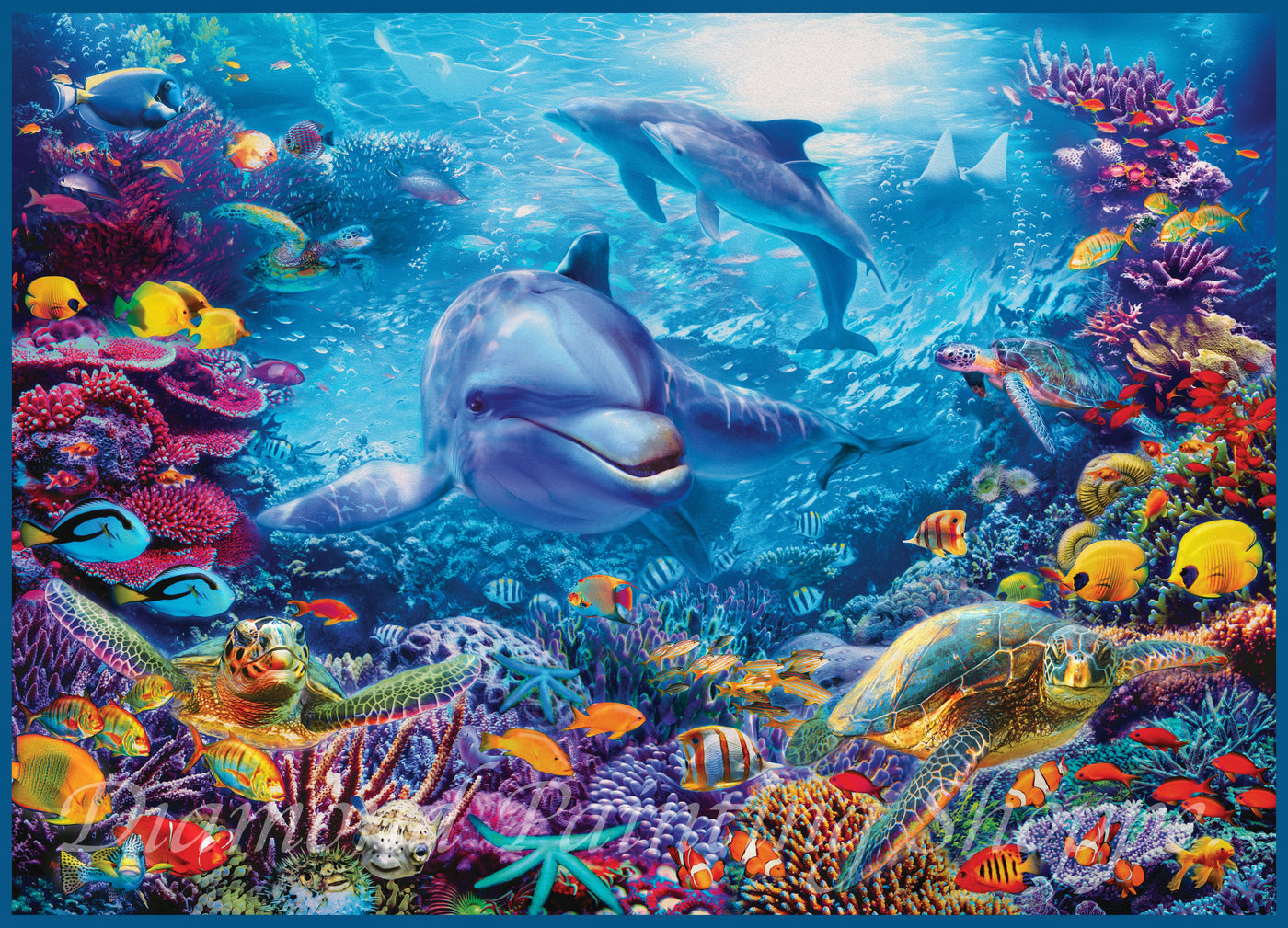 Underwater Dolphin and Turtle (MTO)