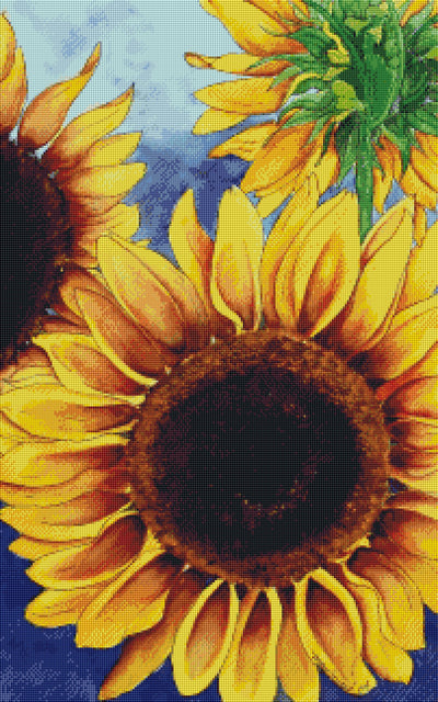 Sunny Sunflowers (MTO)