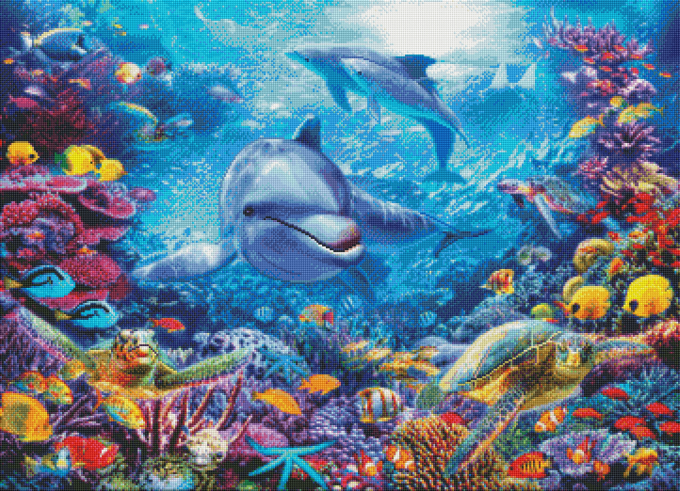 Underwater Dolphin and Turtle (MTO)