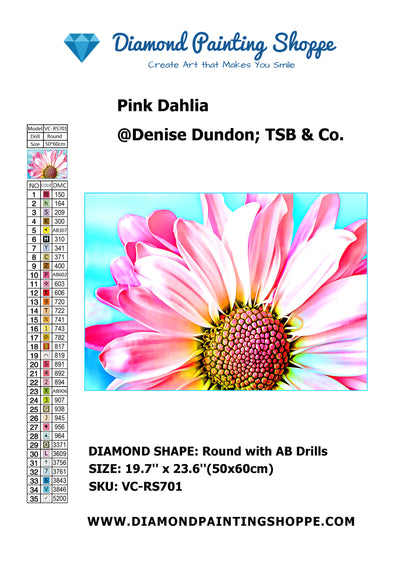 Pink Dahlia